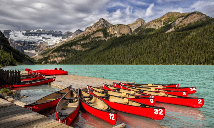 Columbia Icefield Tour