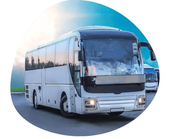 transportation bus